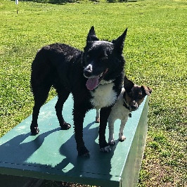 Abby & Toby
