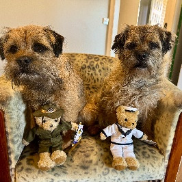 Leroy Brown & Kwizzy Bear