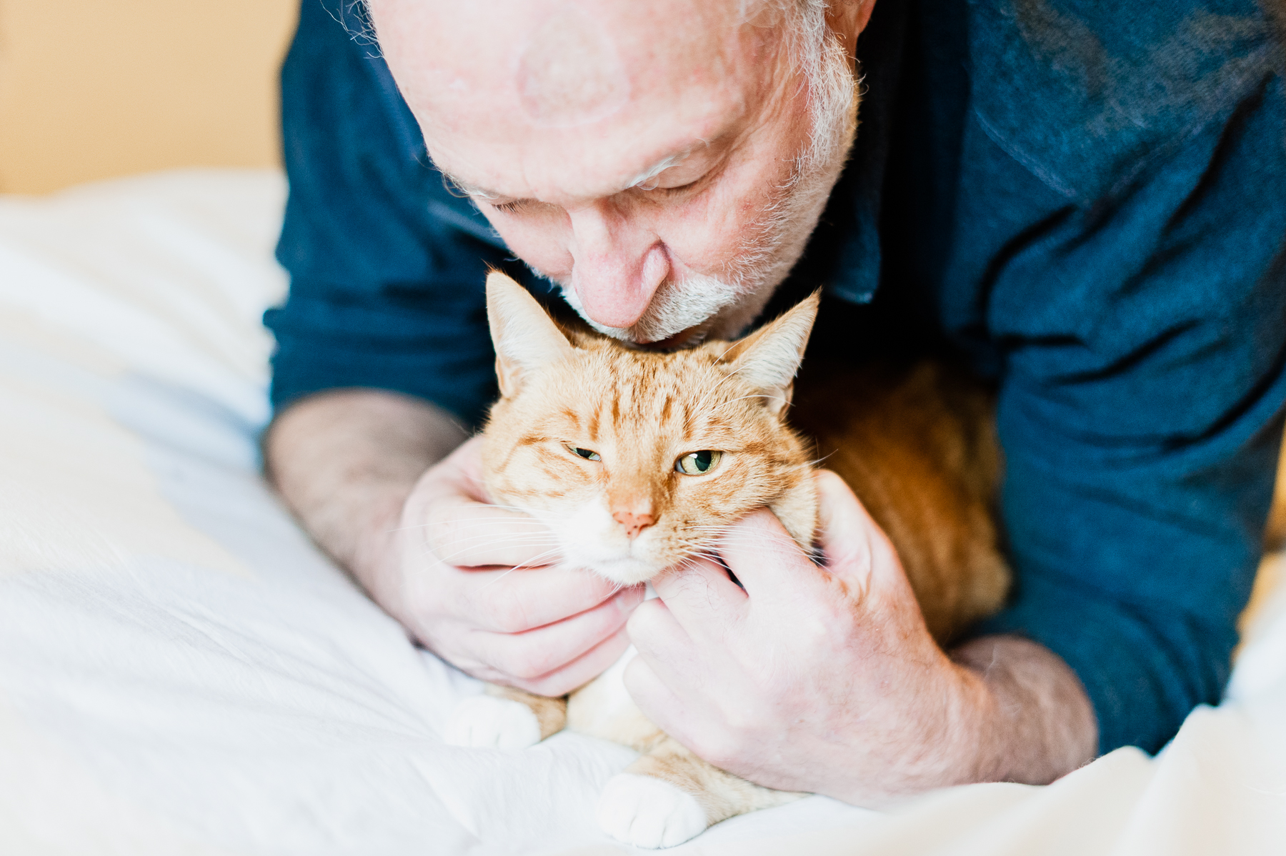 Elderly man gently kissing his orange tabby cat while lying on a bed, showcasing the deep emotional bond between humans and their pets. The image reflects compassion, love, and the importance of keeping people and pets together during tough times.