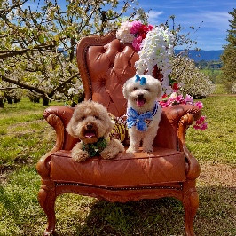 Toffee and Annie