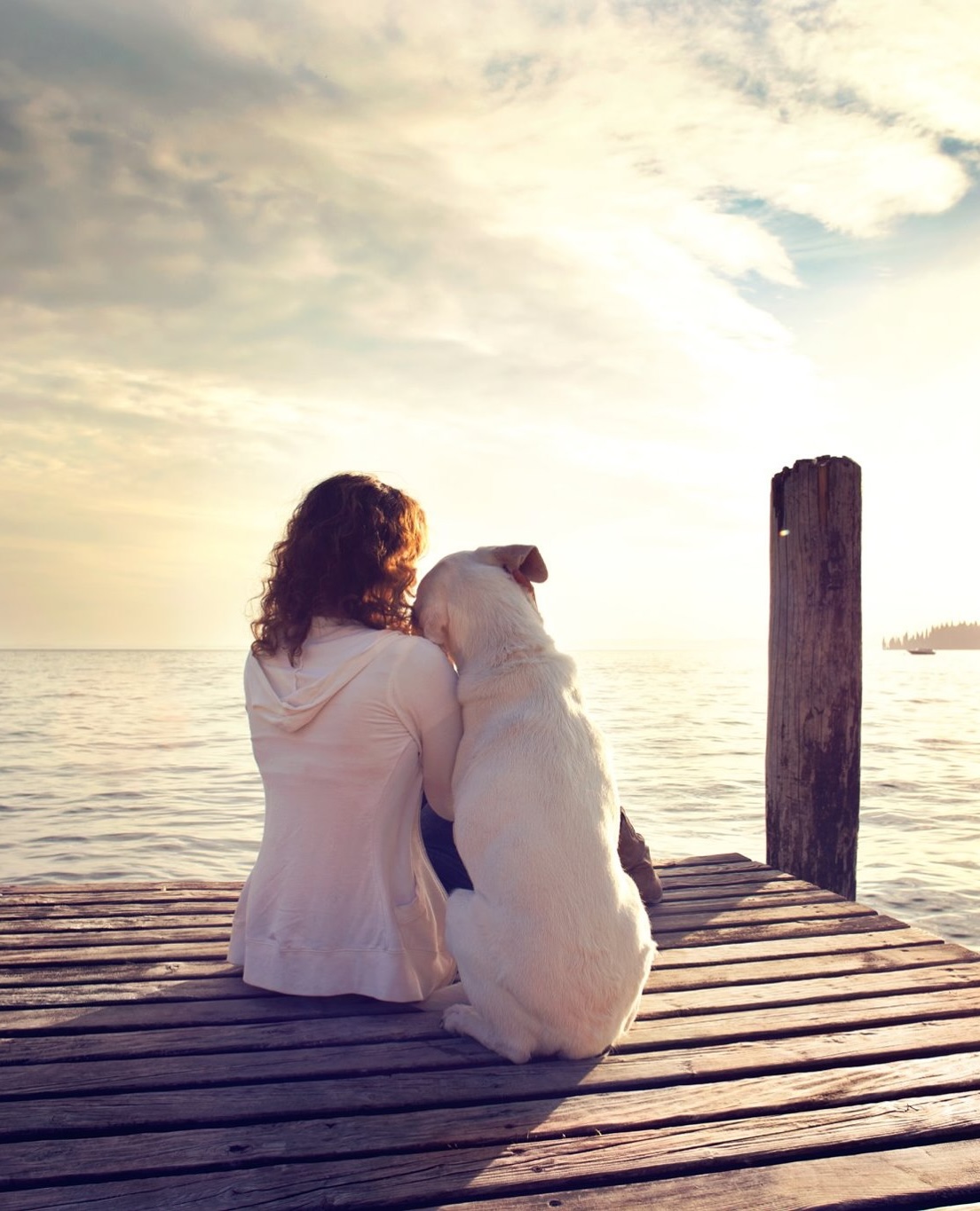 A woman sits side by side with her dog on a wooden pier at sunset, overlooking calm water — a peaceful moment that symbolises the enduring bond between people and their pets.