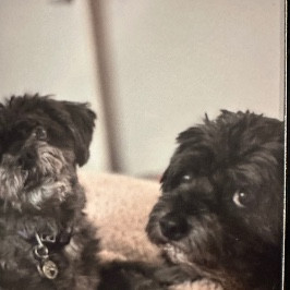 Monty & Marley